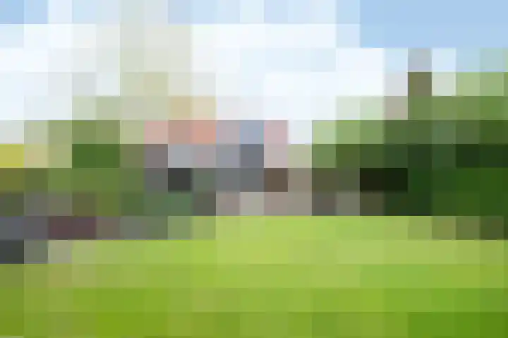 Leiboom 21 Oudenbosch thumbnail 33