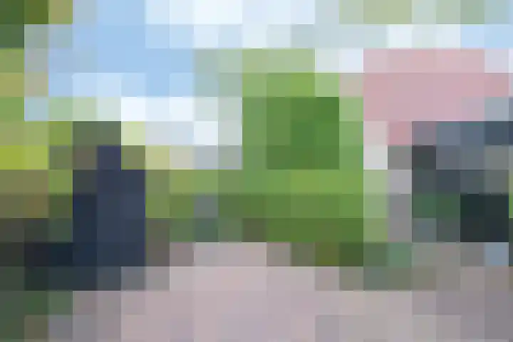 Leiboom 21 Oudenbosch thumbnail 36