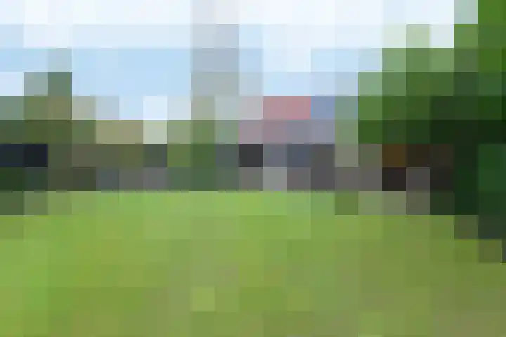 Leiboom 21 Oudenbosch thumbnail 37