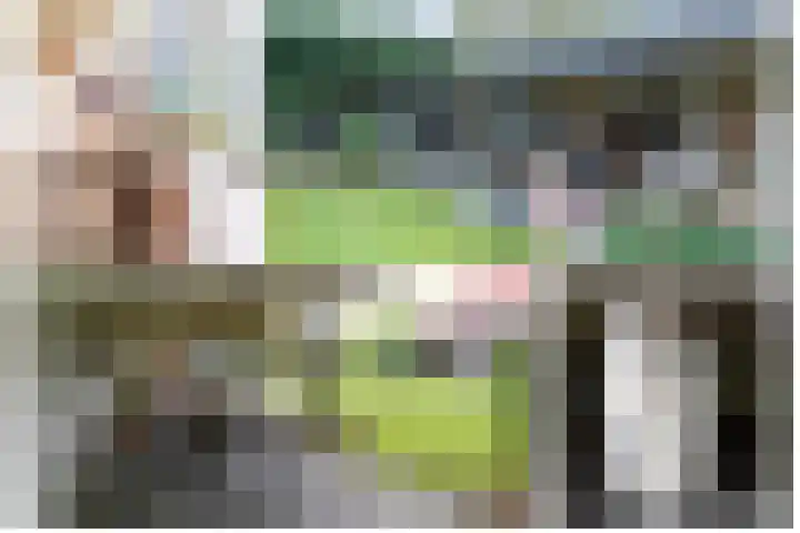 Leiboom 21 Oudenbosch thumbnail 38