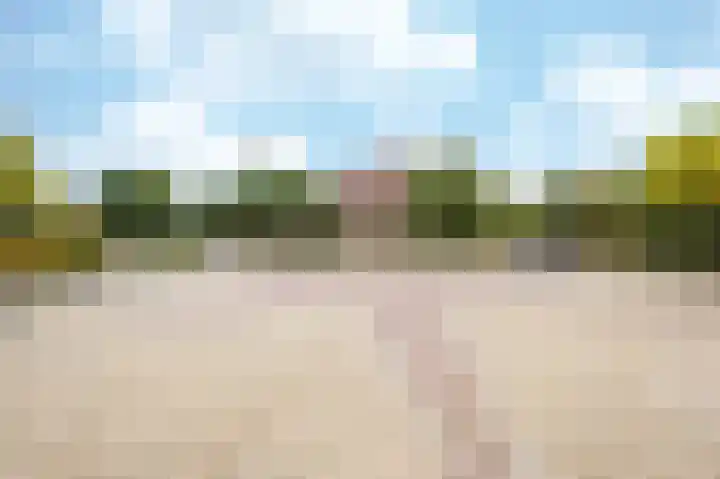 Leiboom 21 Oudenbosch thumbnail 4