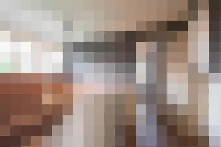 Leiboom 21 Oudenbosch thumbnail 43