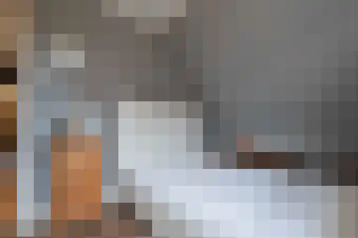 Leiboom 21 Oudenbosch thumbnail 44