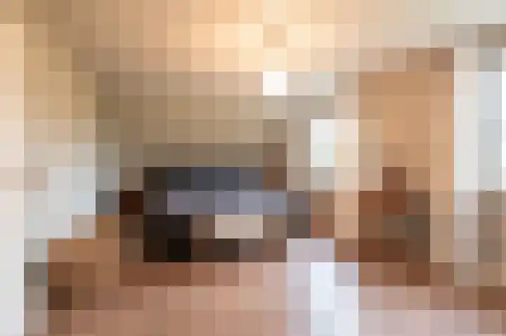 Leiboom 21 Oudenbosch thumbnail 47