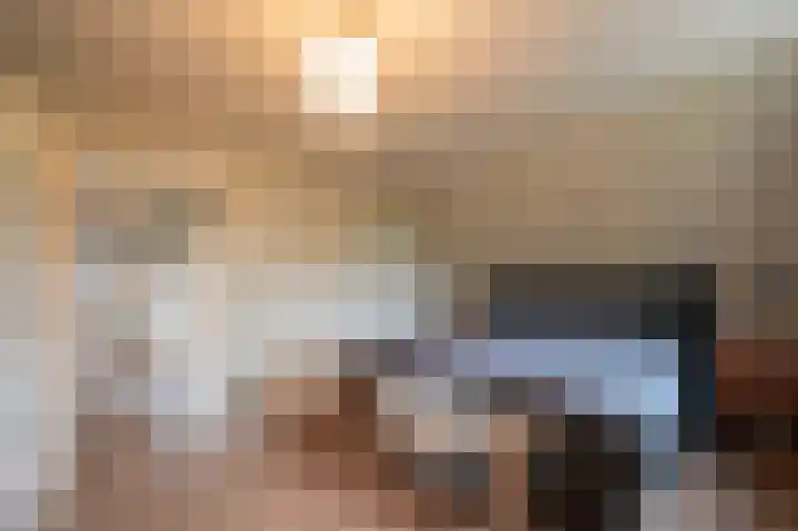 Leiboom 21 Oudenbosch thumbnail 48