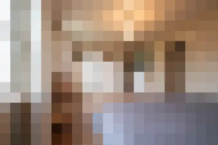 Leiboom 21 Oudenbosch thumbnail 49