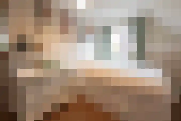 Leiboom 21 Oudenbosch thumbnail 55