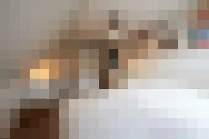 Leiboom 21 Oudenbosch thumbnail 56