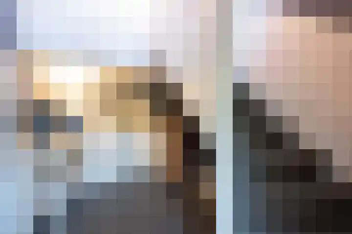 Leiboom 21 Oudenbosch thumbnail 8
