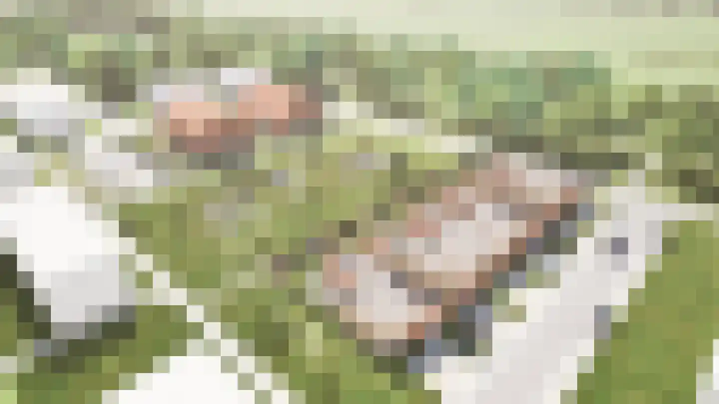 Leidam 5 Kraggenburg foto 3
