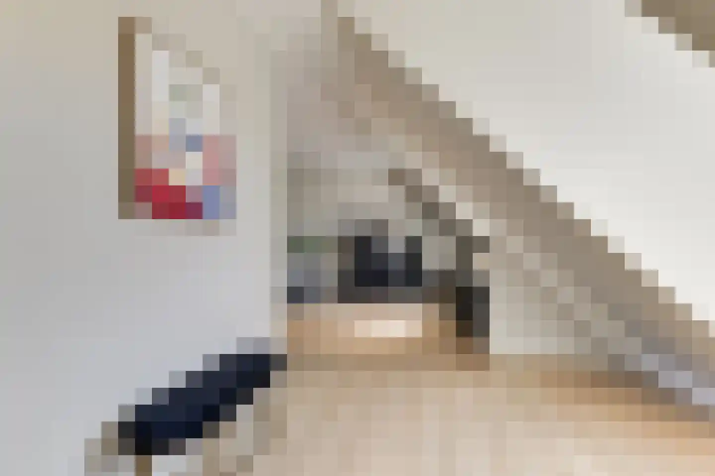 Leidatoweg 6 B Leiden thumbnail 4