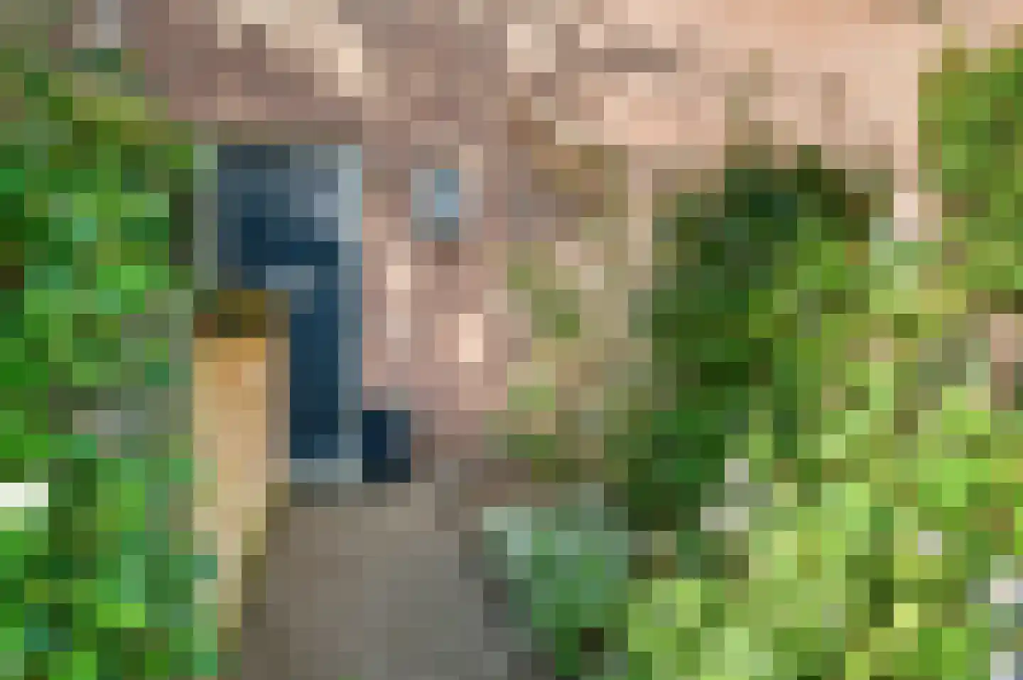 Leidekkersdreef 18 Apeldoorn thumbnail 34