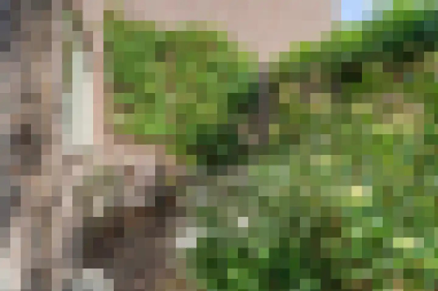 Leidekkersdreef 18 Apeldoorn thumbnail 35