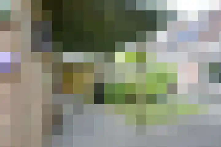Leidekkersgilde 29 Houten thumbnail 10