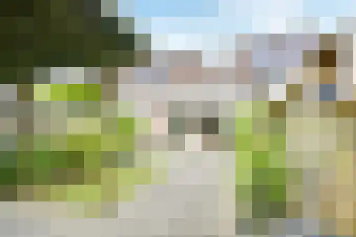 Leidekkersgilde 29 Houten thumbnail 13