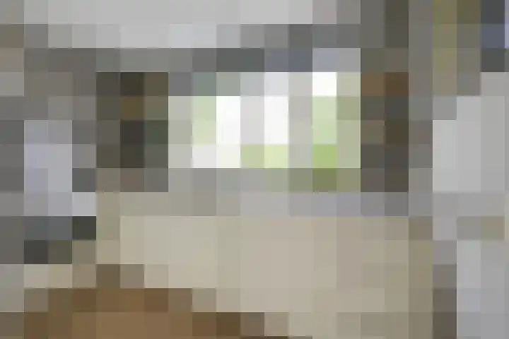 Leidekkersgilde 29 Houten thumbnail 14