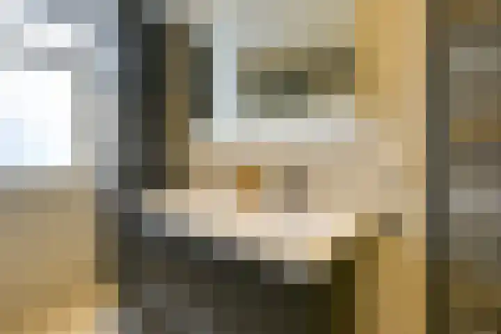 Leidekkersgilde 29 Houten thumbnail 22