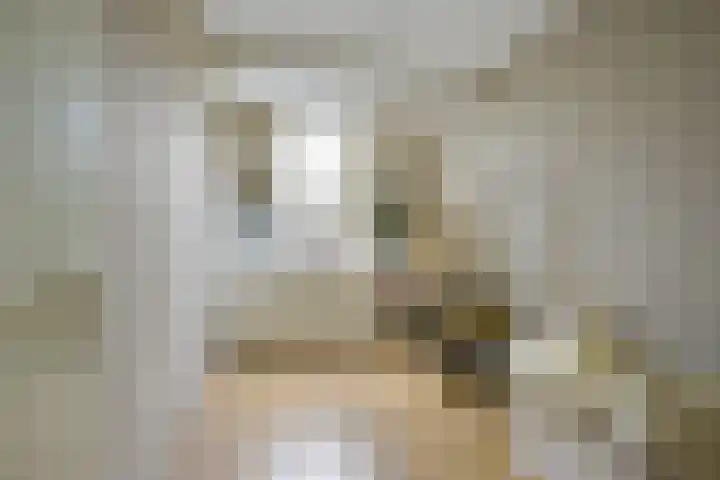 Leidekkersgilde 29 Houten thumbnail 26