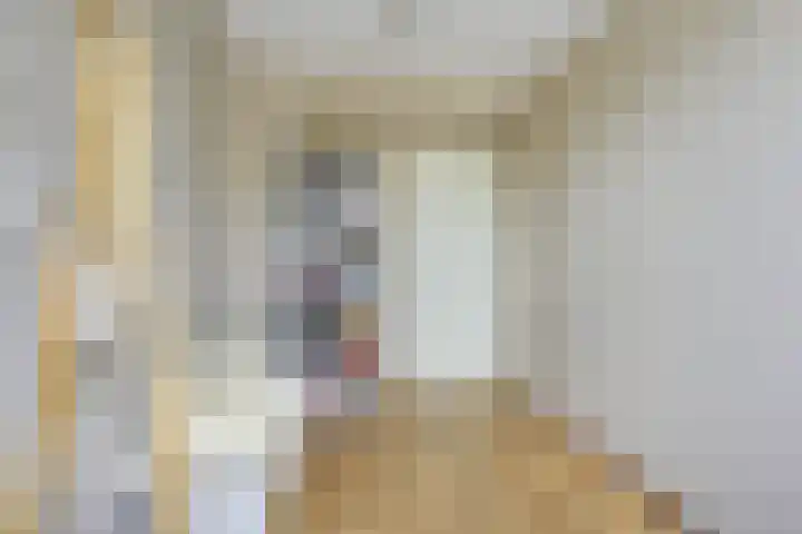 Leidekkersgilde 29 Houten thumbnail 27