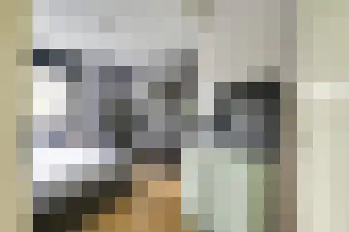 Leidekkersgilde 29 Houten thumbnail 28
