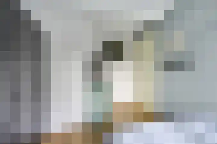 Leidekkersgilde 29 Houten thumbnail 30