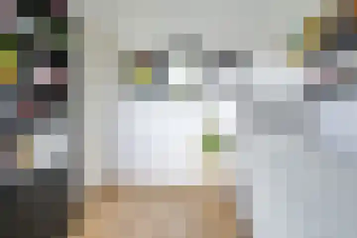 Leidekkersgilde 29 Houten thumbnail 34