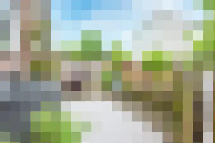 Leidekkersgilde 29 Houten thumbnail 39