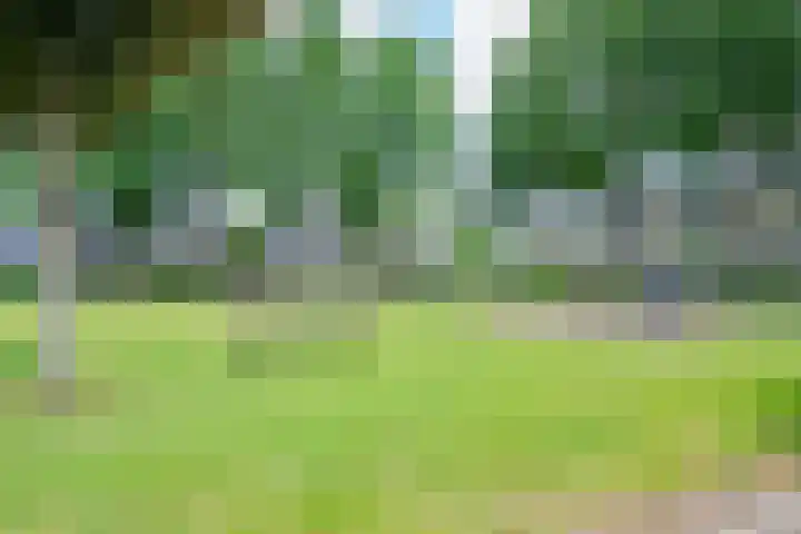 Leidekkersgilde 29 Houten thumbnail 41