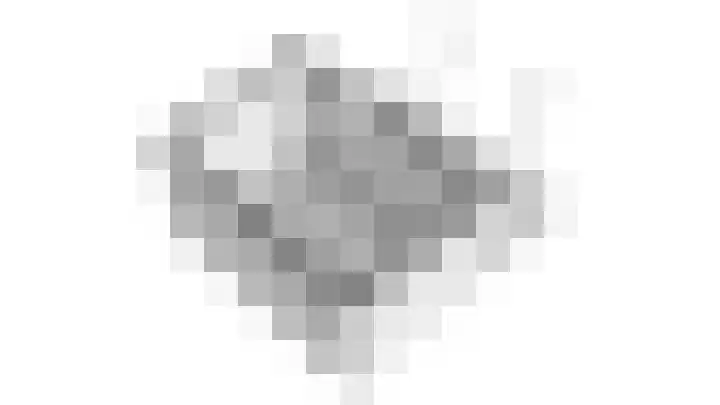 Leidekkersgilde 29 Houten thumbnail 58