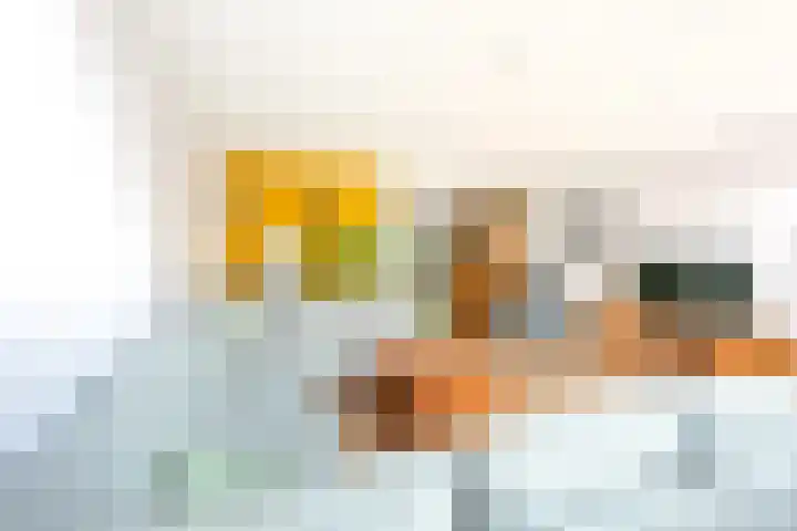 Leidekkersgilde 29 Houten thumbnail 6