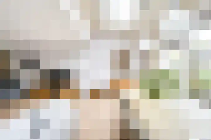 Leidekkersgilde 29 Houten thumbnail 7