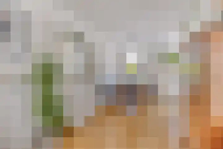 Leidekkersstraat 16 Veendam thumbnail 12