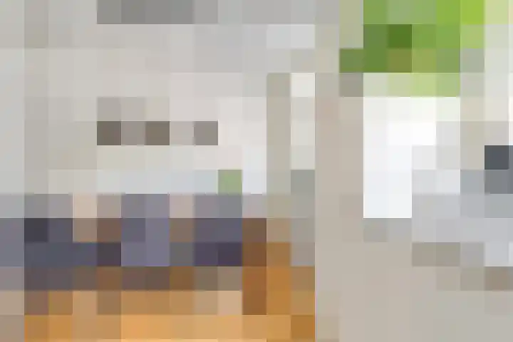 Leidekkersstraat 16 Veendam thumbnail 17