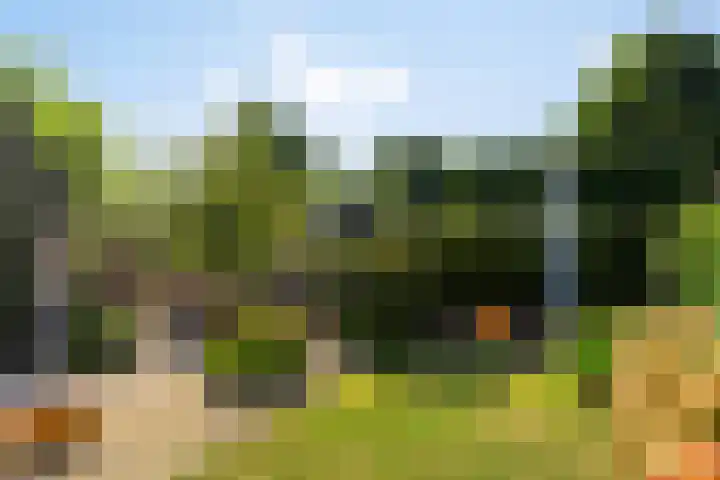Leidekkersstraat 16 Veendam thumbnail 32