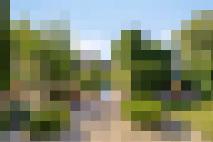 Leidekkersstraat 16 Veendam thumbnail 35