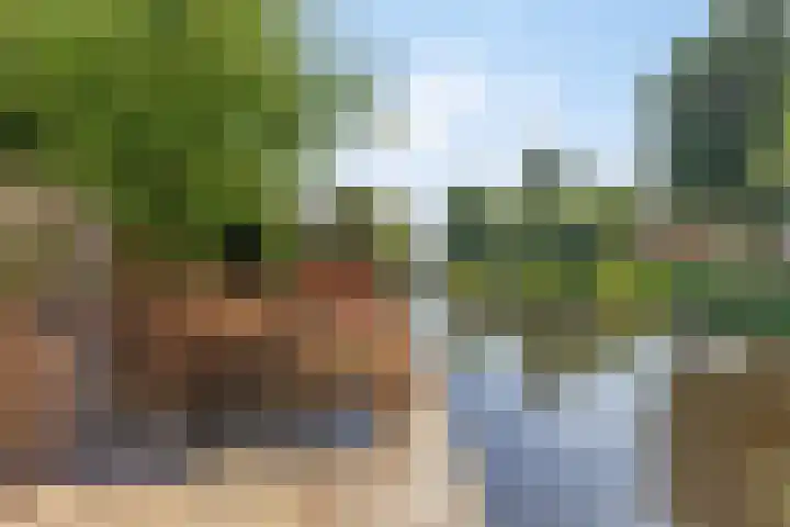 Leidekkersstraat 16 Veendam thumbnail 38
