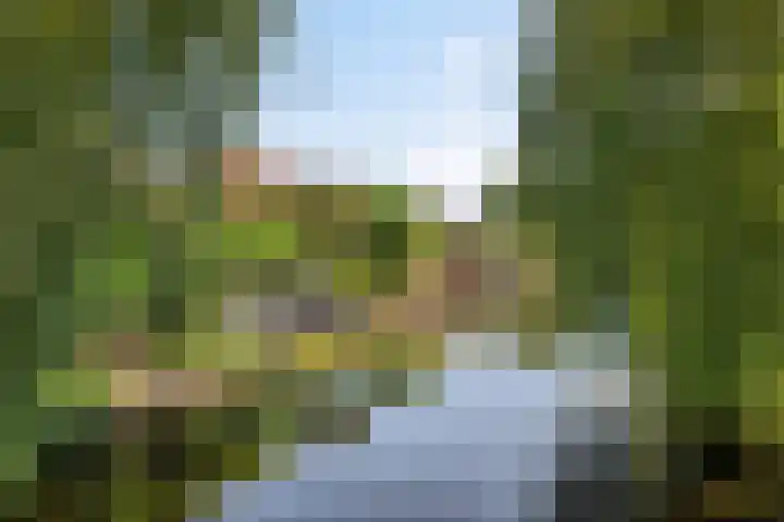 Leidekkersstraat 16 Veendam thumbnail 42