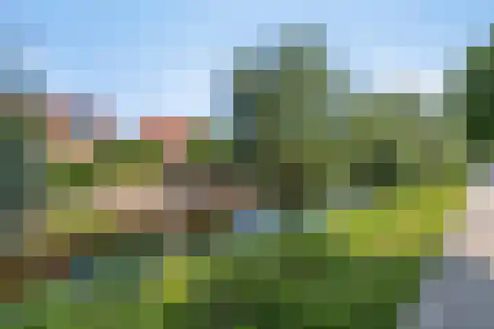 Leidekkersstraat 16 Veendam thumbnail 45