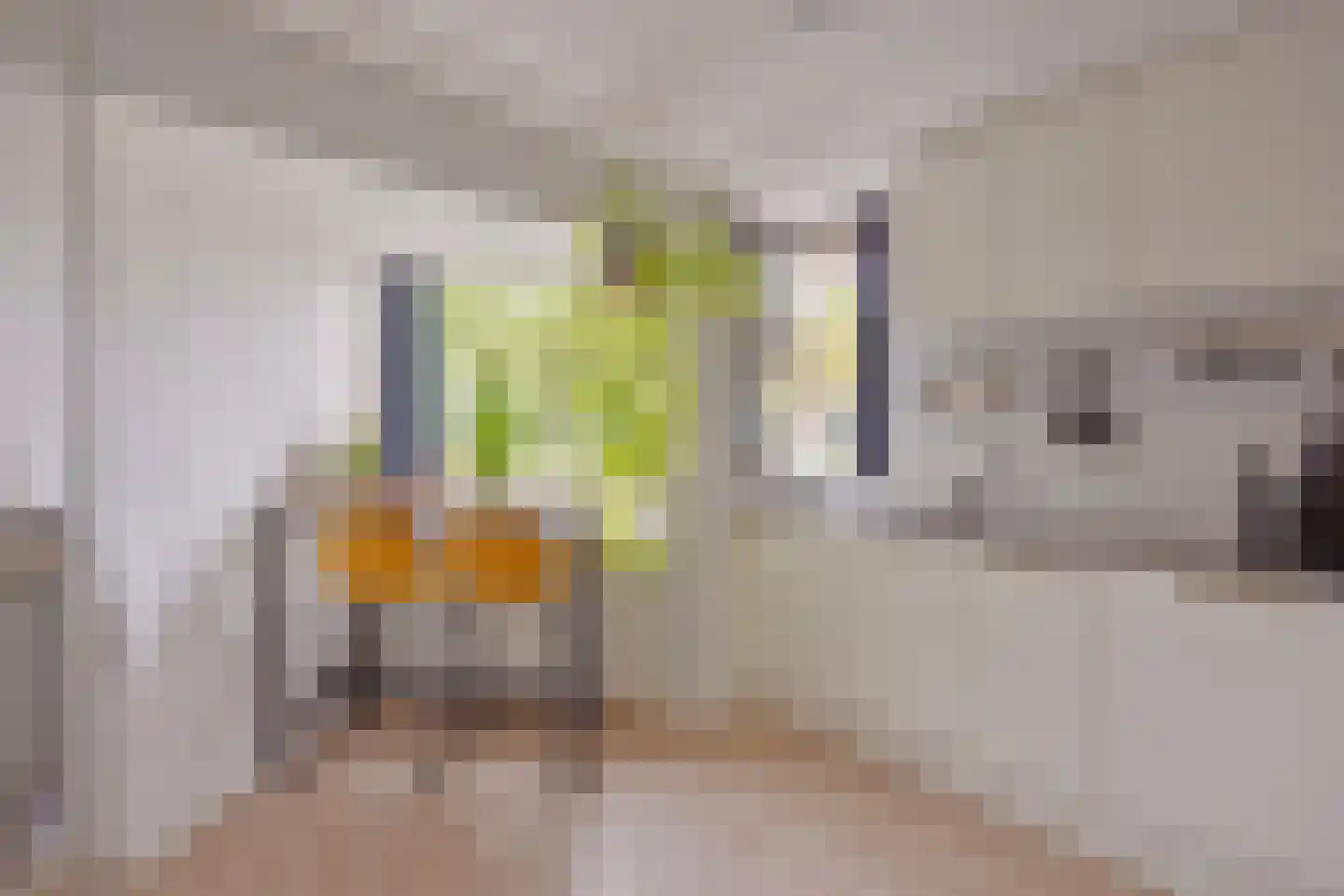 Leidekkerstraat 21 Alkmaar thumbnail 12