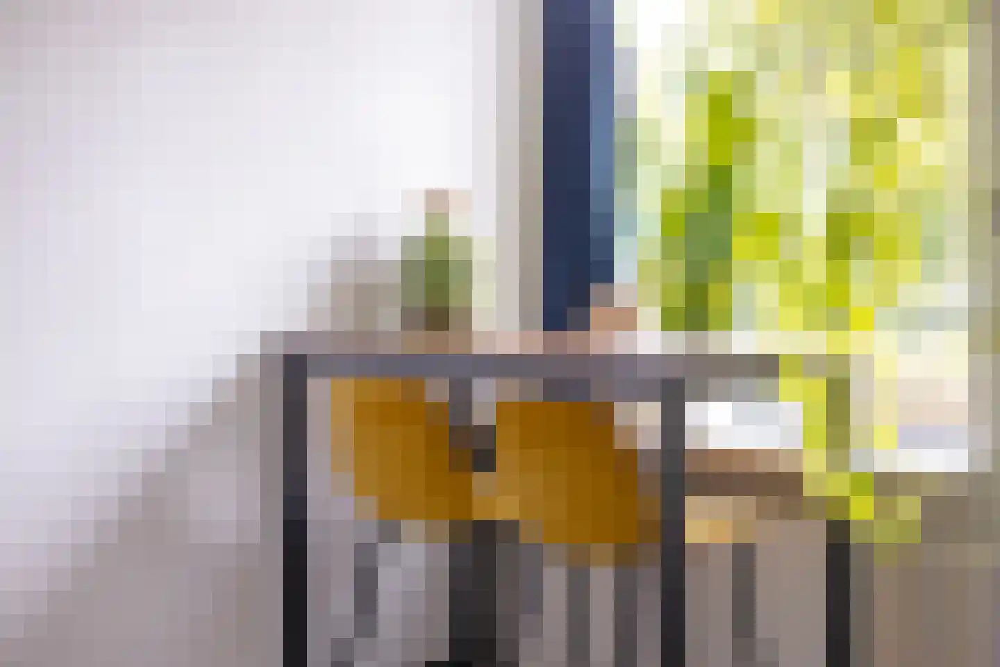 Leidekkerstraat 21 Alkmaar thumbnail 13