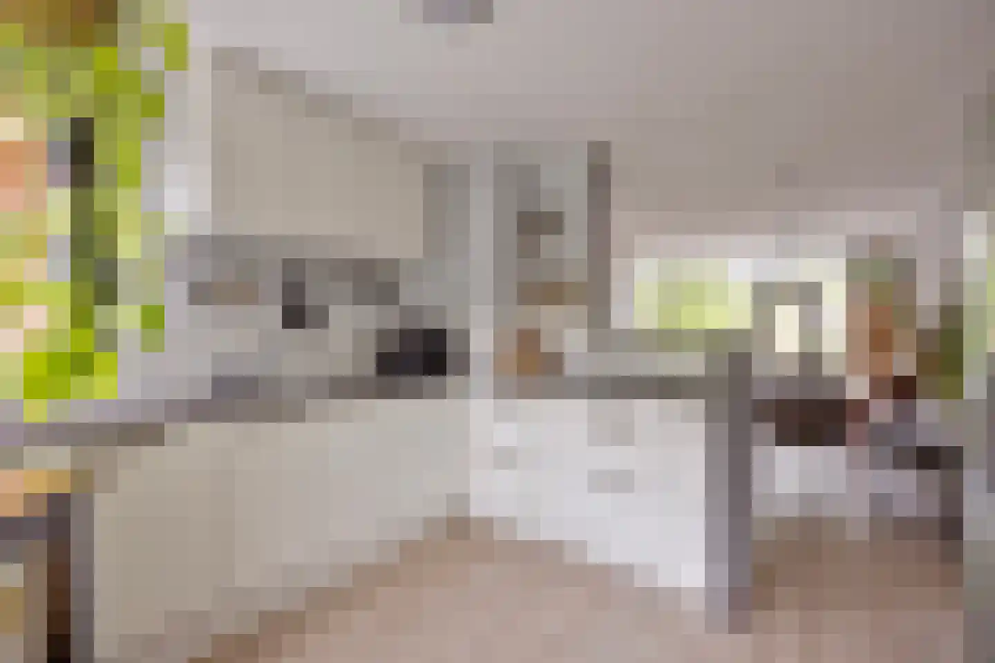 Leidekkerstraat 21 Alkmaar thumbnail 14