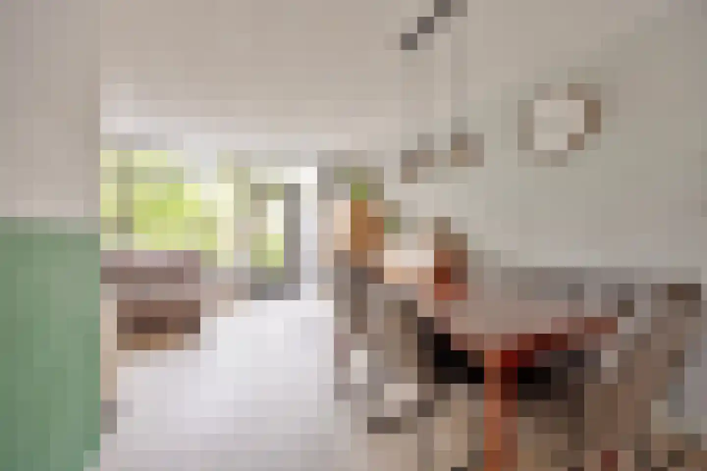 Leidekkerstraat 21 Alkmaar thumbnail 15