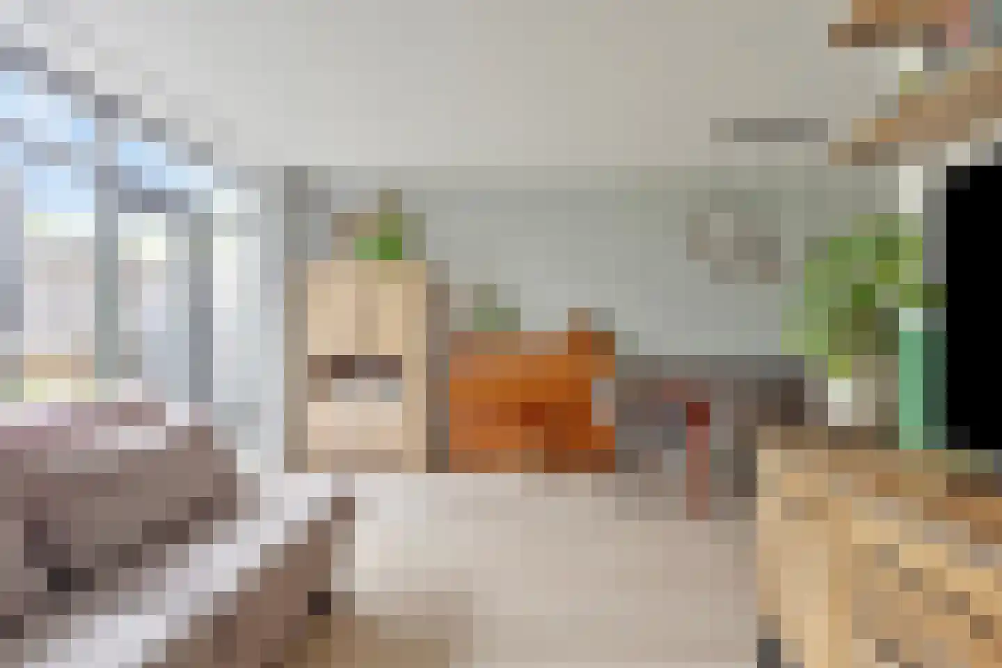 Leidekkerstraat 21 Alkmaar thumbnail 17