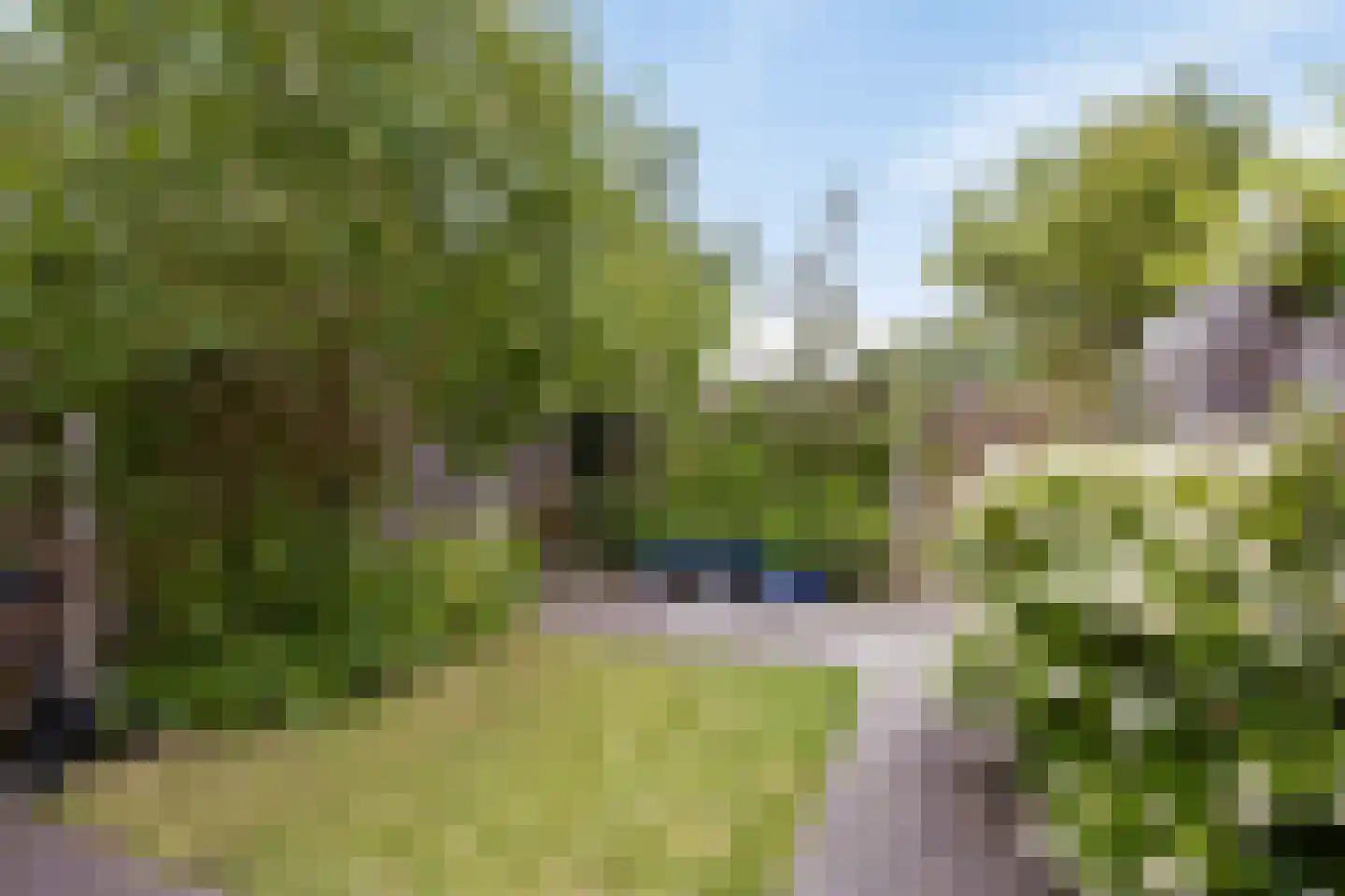 Leidekkerstraat 21 Alkmaar thumbnail 18