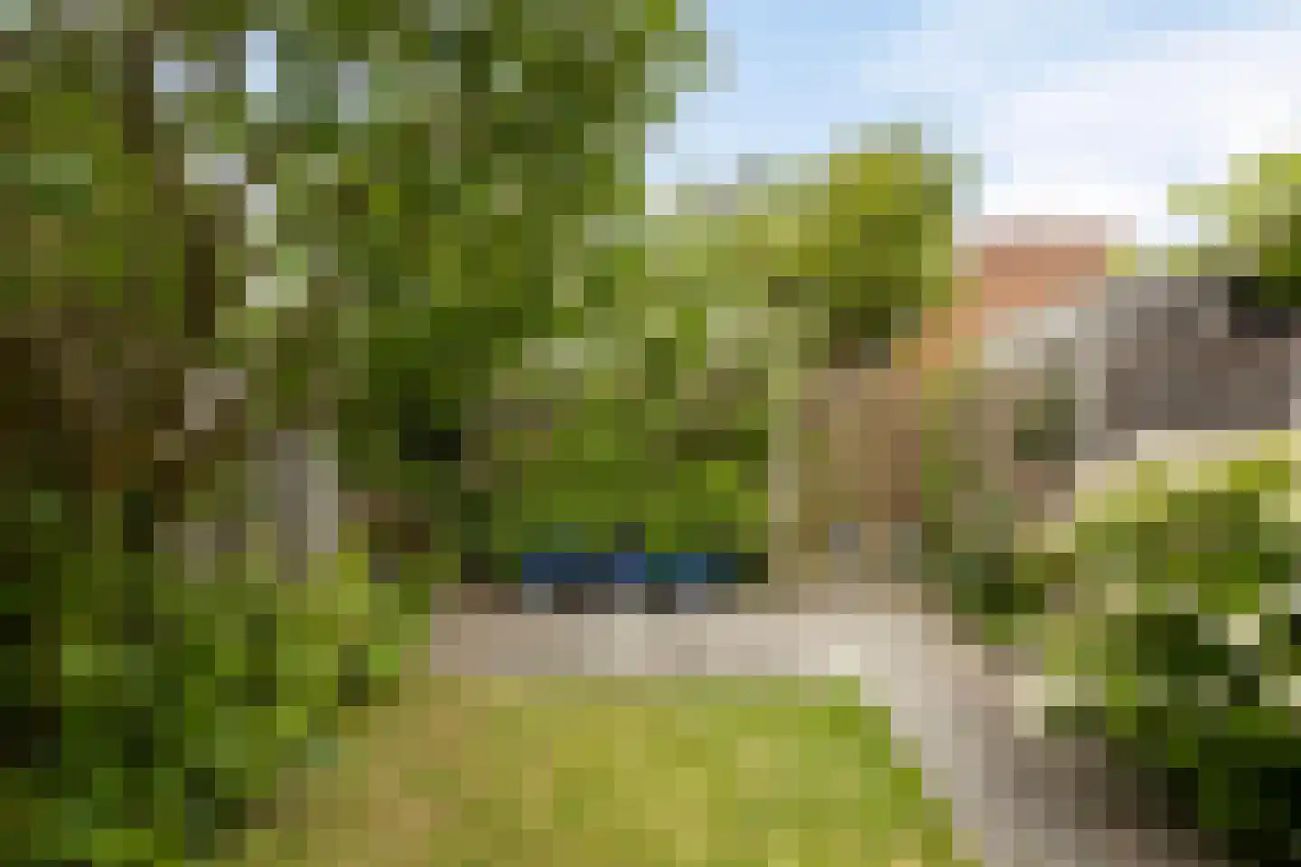 Leidekkerstraat 21 Alkmaar thumbnail 19