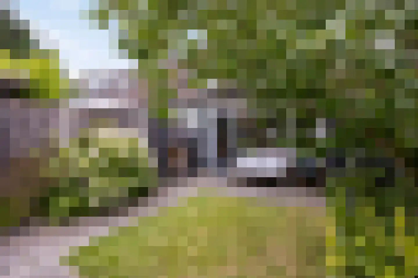 Leidekkerstraat 21 Alkmaar thumbnail 21