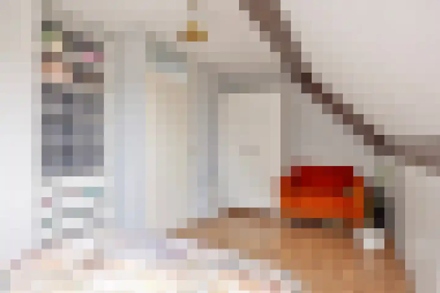 Leidekkerstraat 21 Alkmaar thumbnail 24