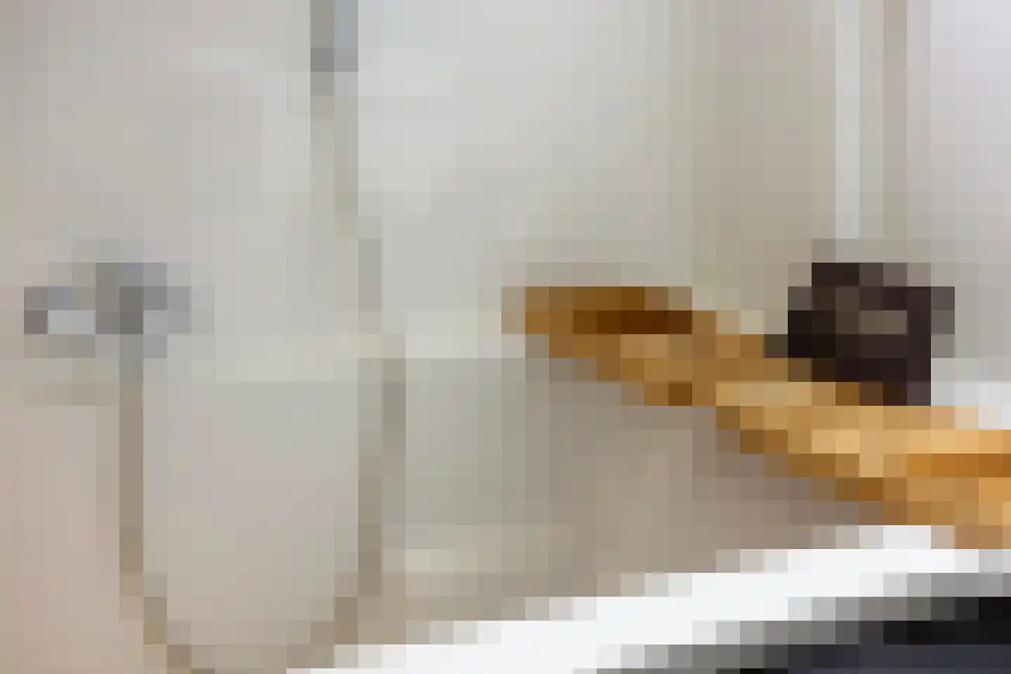 Leidekkerstraat 21 Alkmaar thumbnail 27