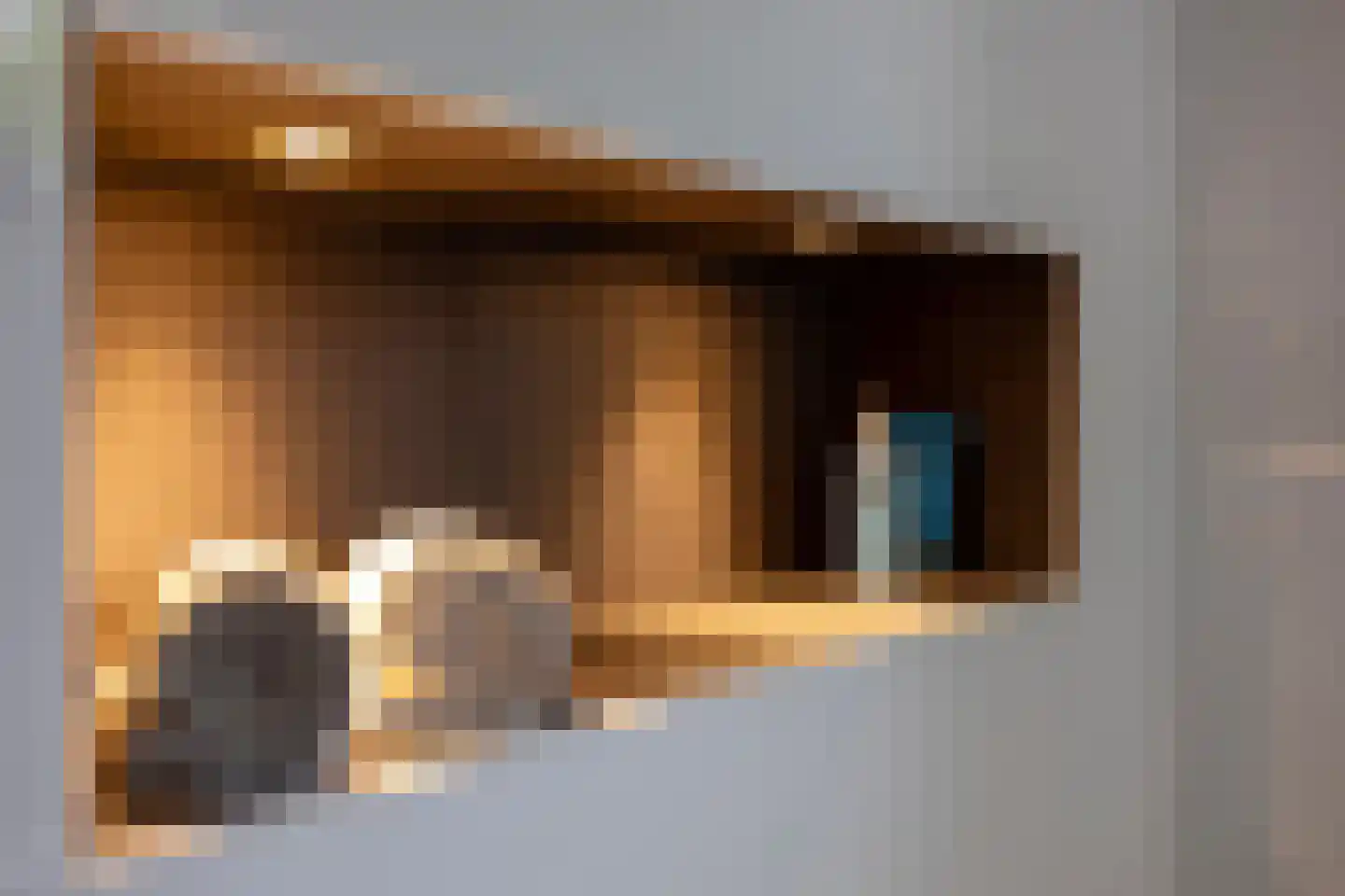 Leidekkerstraat 21 Alkmaar thumbnail 28