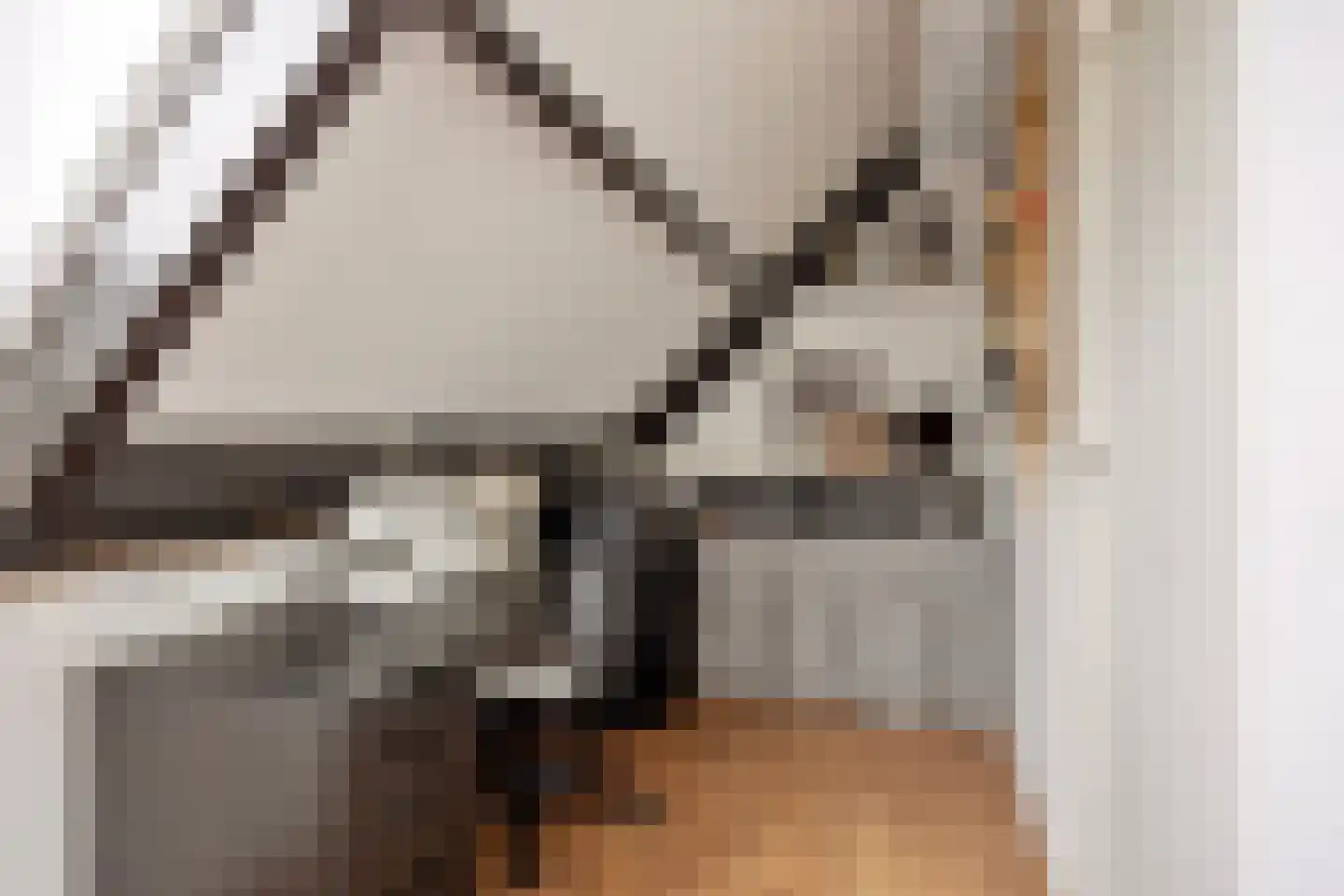 Leidekkerstraat 21 Alkmaar thumbnail 31